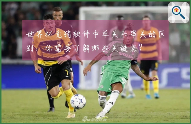 世界杯竞猜软件中单关和串关的区别，你需要了解哪些关键点？