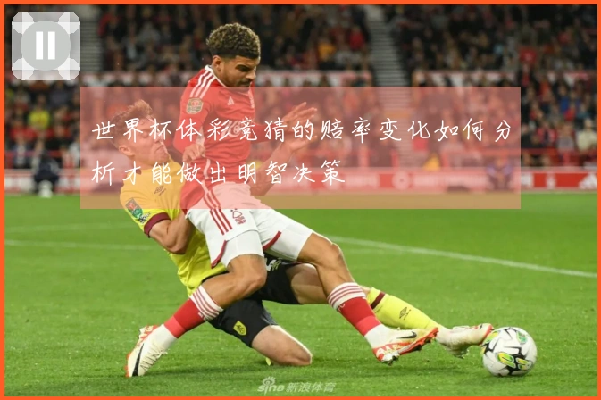 世界杯体彩竞猜的赔率变化如何分析才能做出明智决策