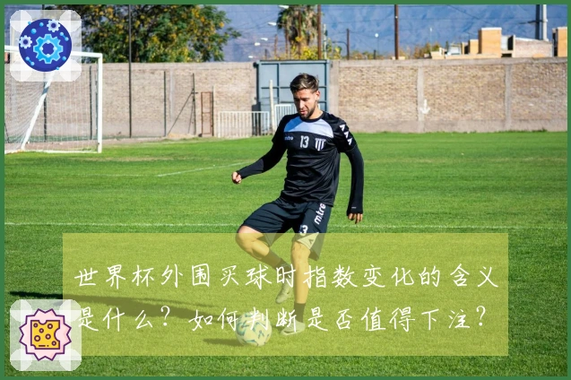 世界杯外围买球时指数变化的含义是什么？如何判断是否值得下注？