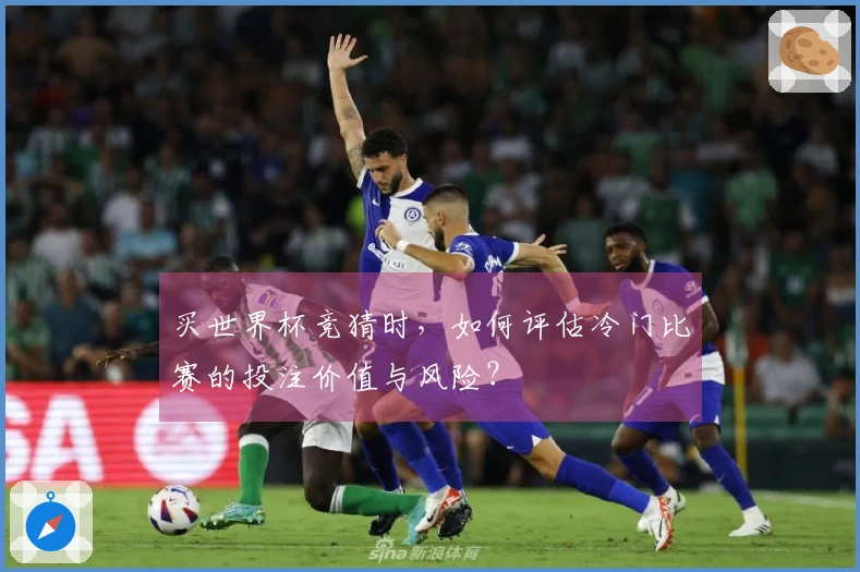 买世界杯竞猜时，如何评估冷门比赛的投注价值与风险？