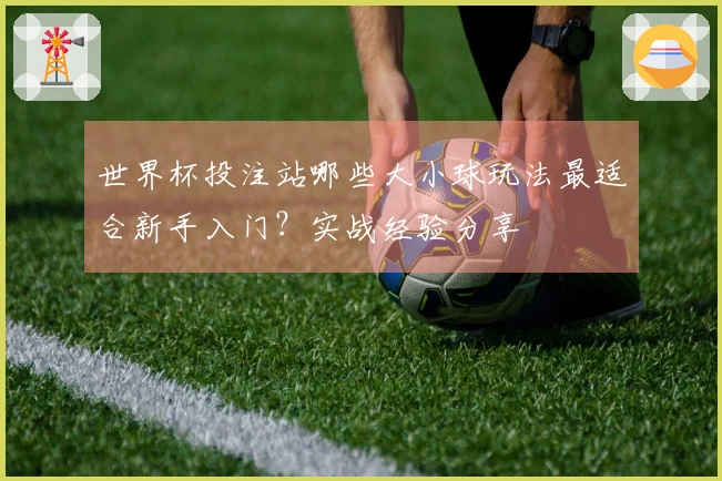 世界杯投注站哪些大小球玩法最适合新手入门？实战经验分享