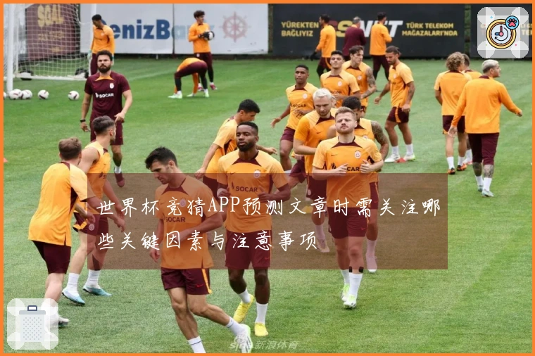 世界杯竞猜APP预测文章时需关注哪些关键因素与注意事项