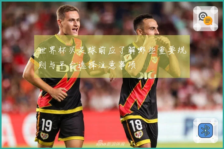 世界杯买足球前应了解哪些重要规则与平台选择注意事项