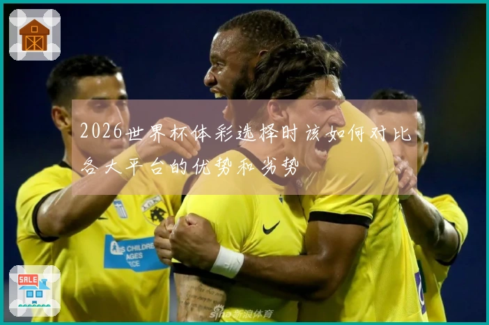 2026世界杯体彩选择时该如何对比各大平台的优势和劣势