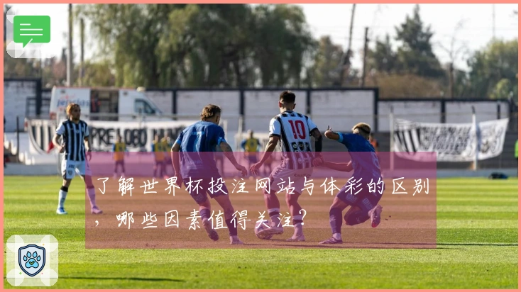 了解世界杯投注网站与体彩的区别，哪些因素值得关注？