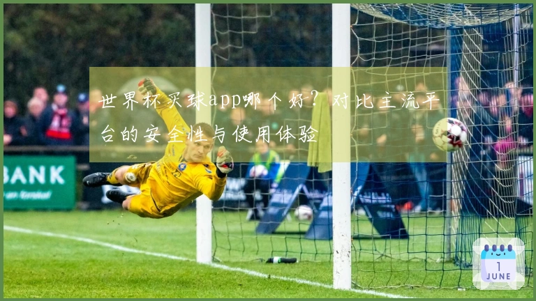 世界杯买球app哪个好？对比主流平台的安全性与使用体验