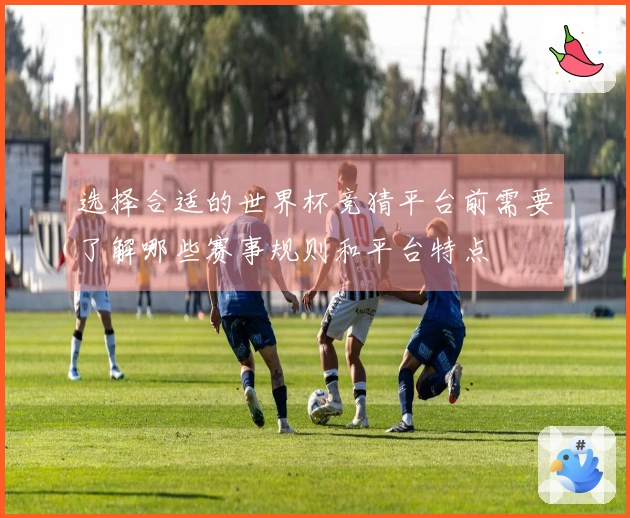 选择合适的世界杯竞猜平台前需要了解哪些赛事规则和平台特点