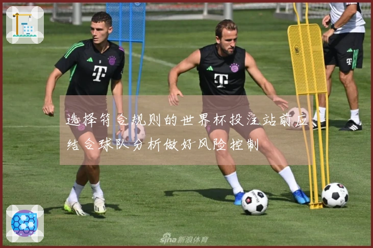 选择符合规则的世界杯投注站前应结合球队分析做好风险控制